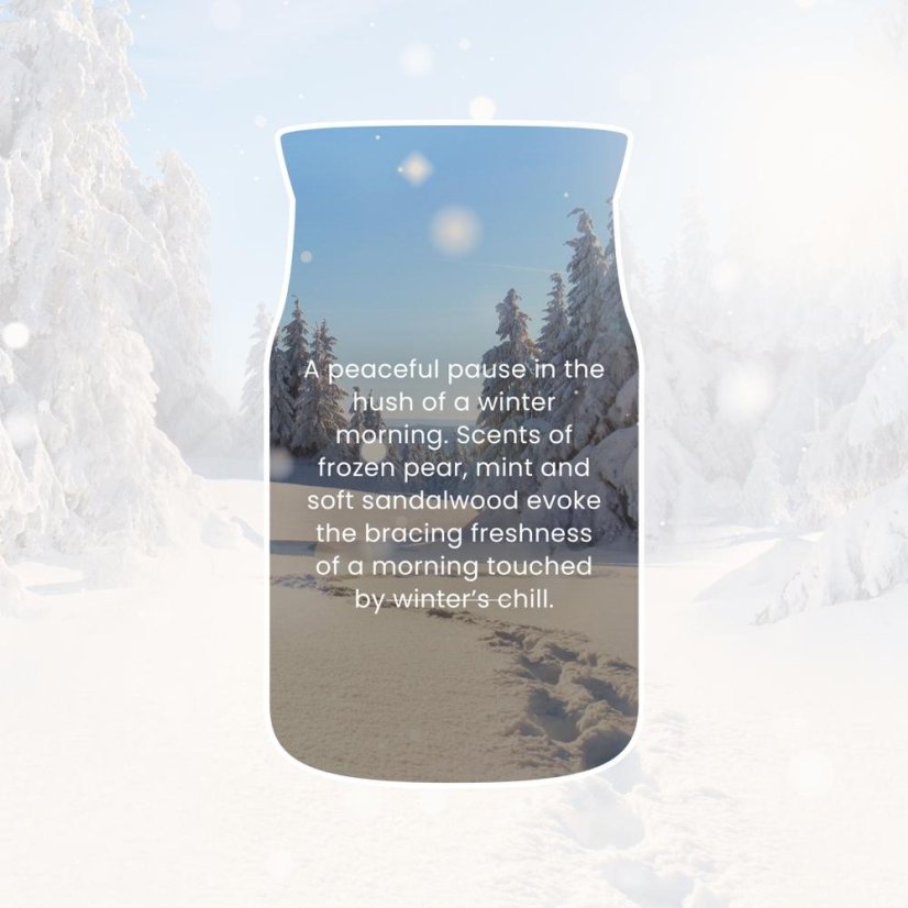 Yankee candle Signature Large Candle, Winter Walk