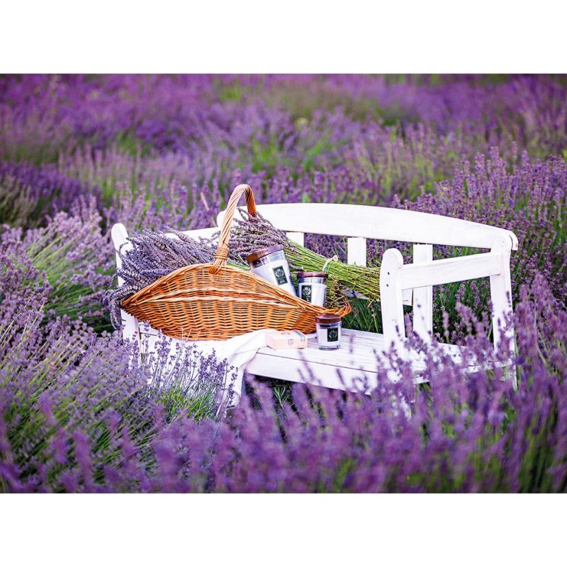 Kerze Vellutier klein, Hills of Provence