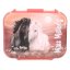 Miss Melody Blossom Pony Lunch Box with Compartments