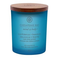 Svíčka Chesapeake Bay Candle malá, Confidence & Freedom