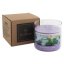 Svíčka Five Elements Patchouli Ice