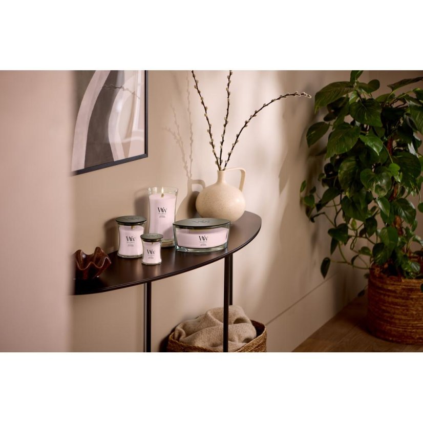 WoodWick-Kerze, klein, Rose Blush