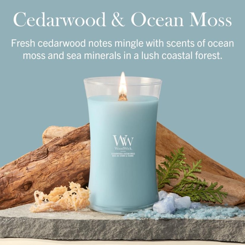WoodWick-Kerze, groß, Cedarwood & Ocean Moss