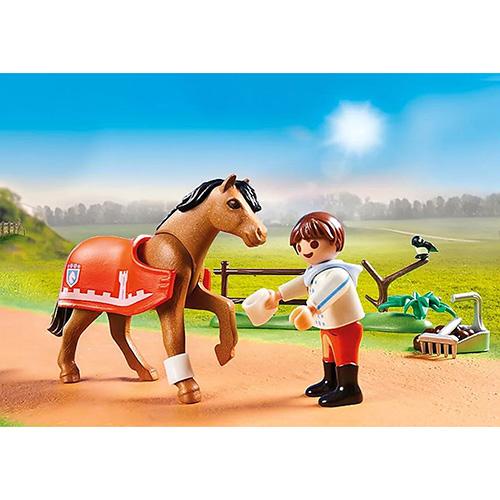 Connemara Pony Playmobil 70516