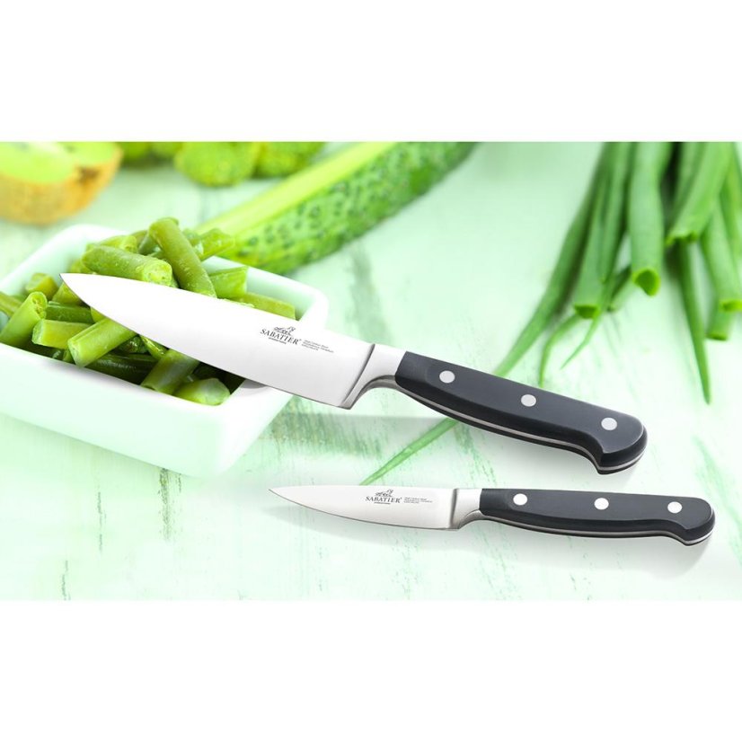 Schneidemesser Lion Sabatier International Pluton 770986