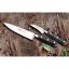 Lion Sabatier 800480 kitchen knife