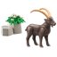 Capricorn Playmobil 71050