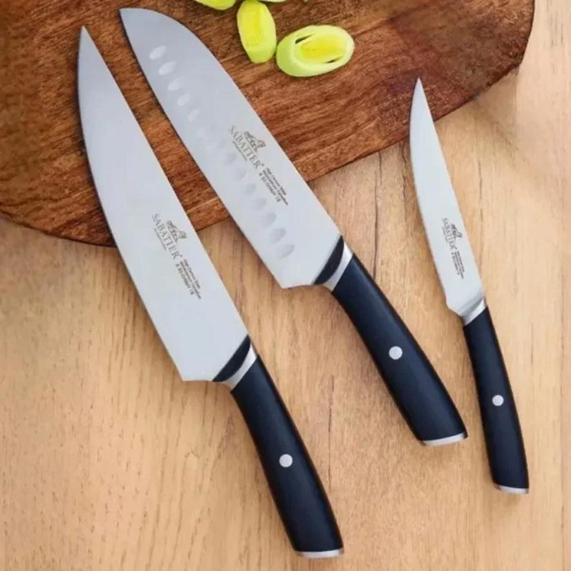 Messerset Lion Sabatier International 794180