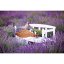 Duftwachs Vellutier, Hills of Provence