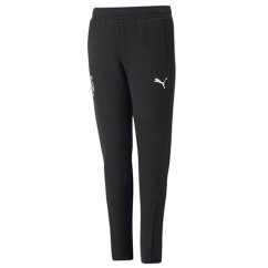 Dziecięce spodnie dresowe Puma Neymar JR Evostripe