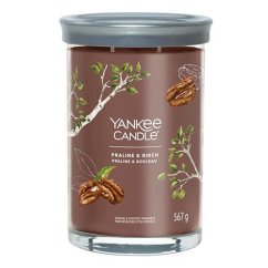 Yankee candle Signature Tumbler Kerze, groß, Praline & Birch