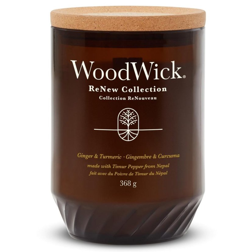 WoodWick ReNew Kerze groß, Ingwer & Kurkuma