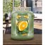 Świeca Country Candle duża, Citrus & Sage
