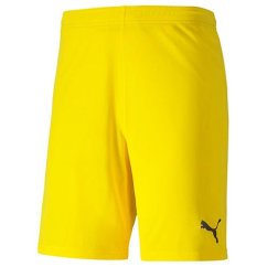 Herren-Shorts Puma Team Goal 23 knit Short