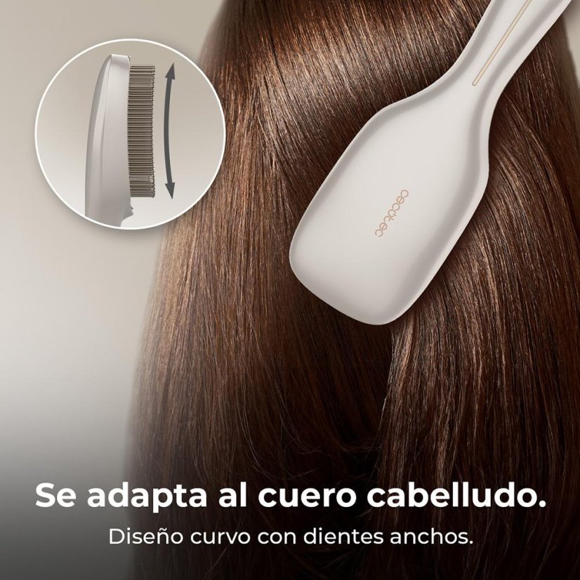 Elektrische Bürste Cecotec HairCare 100152 silber