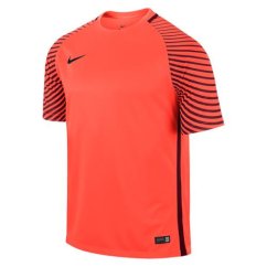 Dres Nike Gardien
