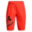 Under Armour Prototype 2.0 Logo Boys' Shorts - Color: Black, Size: M