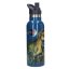 Aluminium-Trinkflasche mit Griff Dino World Galaxy