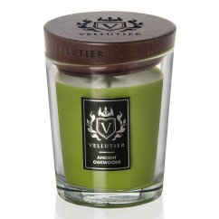 Vellutier medium candle, Ancient Oakwoods