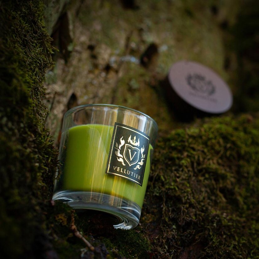 Kerze Vellutier klein, Ancient Oakwoods