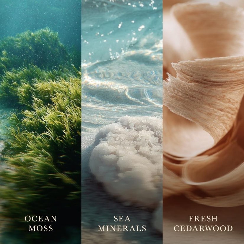 WoodWick Small Candle, Cedarwood & Ocean Moss