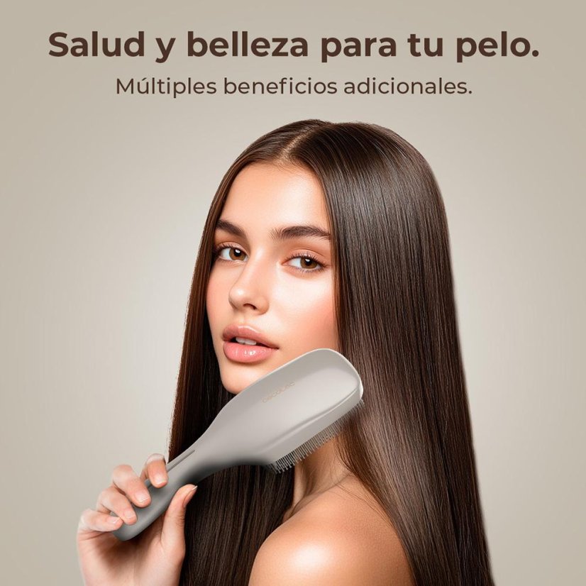 Elektrische Bürste Cecotec HairCare 100152 silber