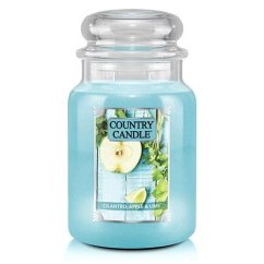 Svíčka Country Candle velká, Cilantro, Apple & Lime