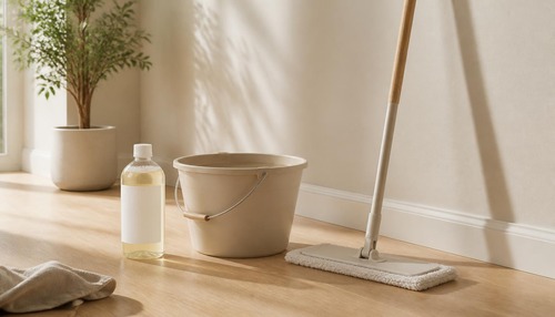 Floor cleaners