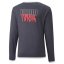 Koszulka dziecięca Puma Neymar Jr Graphic Tee - Kolor: Szary, Rozmiar: 164