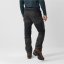 Pánské kalhoty Fjällräven Abisko Lite Trekking Trousers Reg/Long - Kolor: Szary, Rozmiar: 46/L