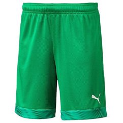 Spodenki piłkarskie dla dzieci Puma CUP Kids