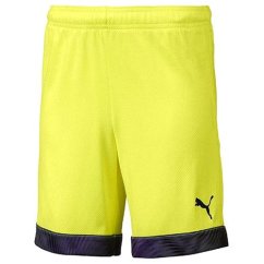 Herren-Fußballshorts Puma CUP