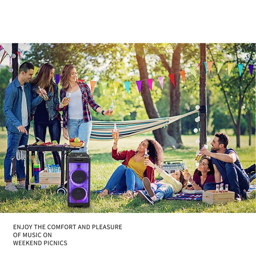 AKAI Party box 800 black speaker