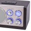 Roadstar HRA-1345NUS/WD strieborné drevené rádio