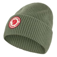 1960 Logo Hat