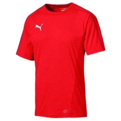 Men's Puma Final Training Jersey