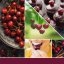 Yankee candle Votivkerze im Glas, Black Cherry