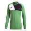 Brankářský dres Adidas Assita 17 - Szín: Zöld, Méret: L
