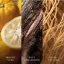 WoodWick Small Candle, Yuzu & Vetiver