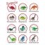 Egg with dinosaur Dino World Explorer Set blue