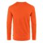 Bergtagen Thinwool LS M