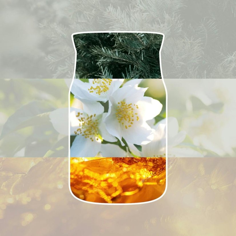 Yankee candle Signature Medium Candle, Silver Birch