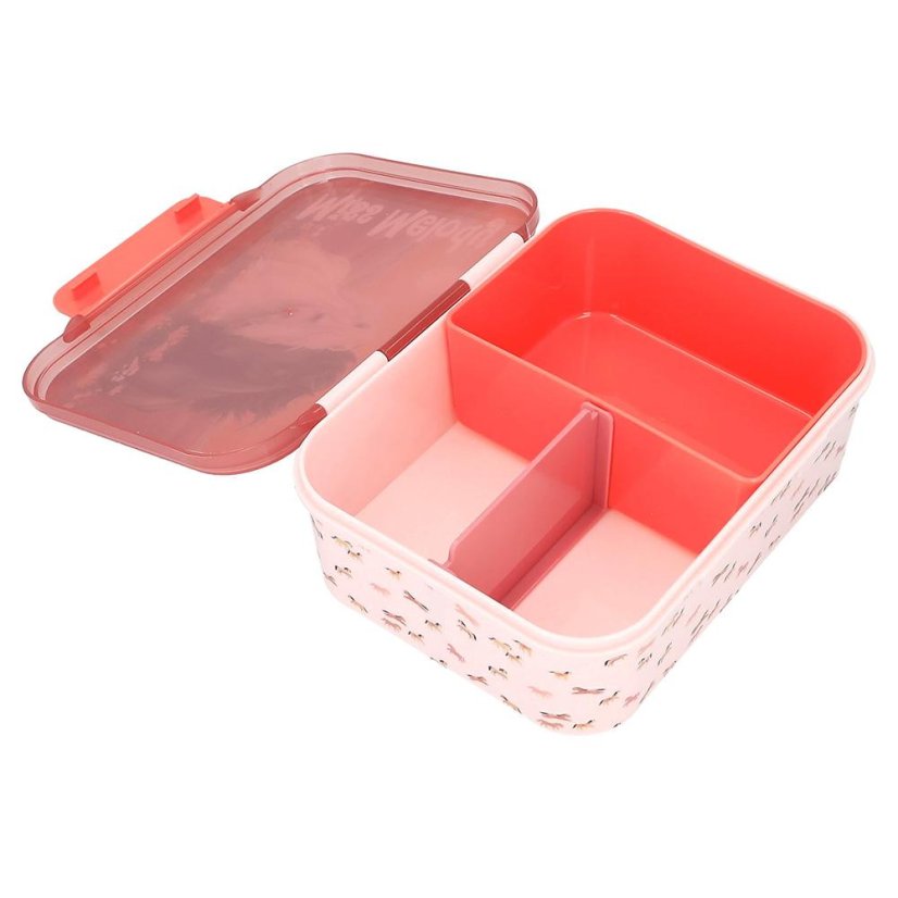 Miss Melody Blossom Pony Lunch Box with Compartments