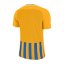 Nike Striped Division III Kids' Jersey
