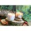 Świeca Woodbridge Signature, Silent Woods