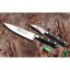 Lion Sabatier IDÉAL Laiton 711480 Chef's Knife