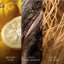 WoodWick Small Candle, Yuzu & Vetiver