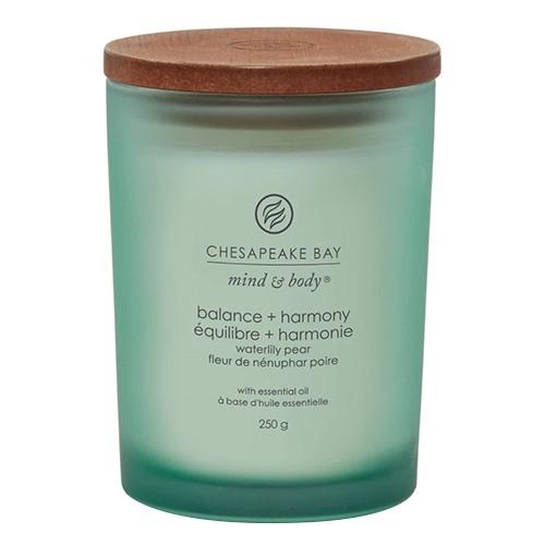 Chesapeake Bay Candle mittelgroße Kerze, Balance & Harmony