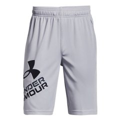 UA Prototype 2.0 Logo Shorts-GRY
