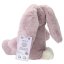 Princess Mimi plush rabbit with sleep mask